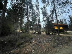 Hermosa casa en el bosque
