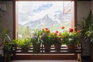 Three room apartment at the Mt Cervino s foot