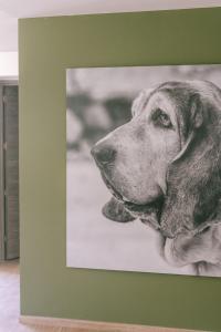 Appart'hotels Residence Saletta Mare : photos des chambres