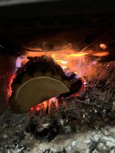 Rodinná chata v rekreačnej oblasti DRIENICA