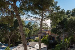 Mediterranean Way - Cye 205