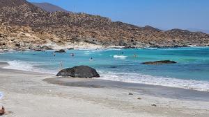 Totoralillo casa 12 personas full 7h,3b