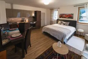 Apartmán v centru - 洛克尼册弗奥里克奥拉赫