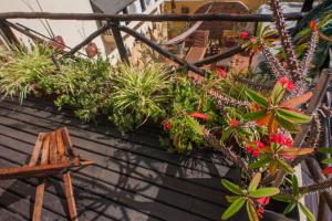 Apassionata Tango Hotel