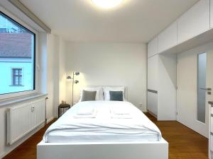 Matis 3 - Apartmán Brno centrum