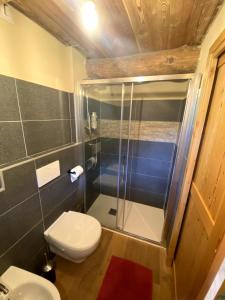 Baita Codirosso a Case di Viso