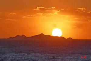 So Leil So Fun à Porticcio - 45m2 - Grand lit 180 - Plage à pied - Wifi fibre - Terrasse