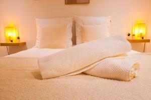 Appartements Souplex - Centre - Terrasse - Clim : photos des chambres