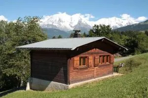 Charmant petit chalet cosy - 孔布卢