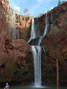 Welcome Hôtel Dijon