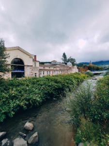 Appartements Duplex avec jardin : photos des chambres