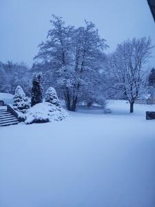 Duplex avec jardin