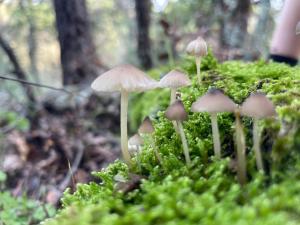 Appartements Le Mas de Cocody : photos des chambres