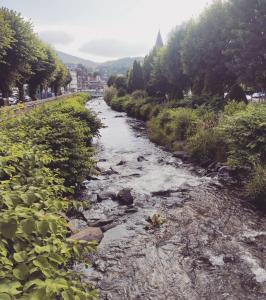Appartements Duplex avec jardin : photos des chambres