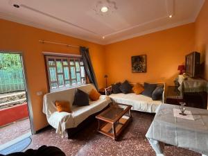 Casa Rural Los Tilos Betancor