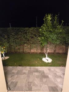 Villa Guesthouse Albion