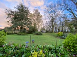 Appartements Les gites Romeline : Appartement 1 Chambre - Vue sur Jardin