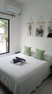 Tauch Cancún Centro