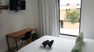 Tauch Cancún Centro