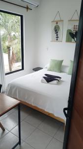 Tauch Cancún Centro