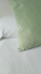 Tauch Cancún Centro