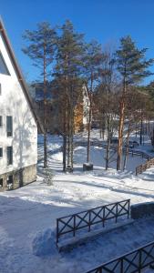 Apartman Infinity MD Divcigora