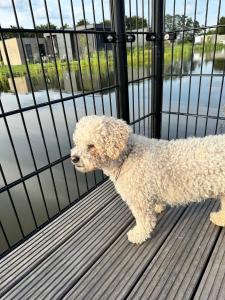 Marina Strandbad Chalet Aan het Water mit Zaun Haus Nr 134