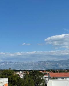 Apartment Punta 