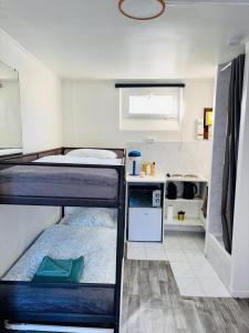 Sejours chez l'habitant Place a quelques pas du Musee du Louvre au Centre de Paris : photos des chambres