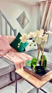 Fabulous apartment Air conditioned Nice Terrace 10 min from Paris - 3hvězdičkové hotely ve městě Vitry-sur-Seine