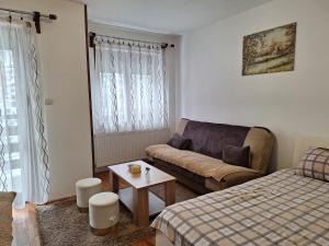 Apartman Adzic centar