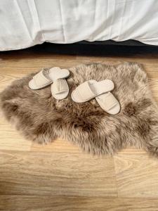 Appartements Grand Appart Renove Paris et Disneyland 4pers : photos des chambres