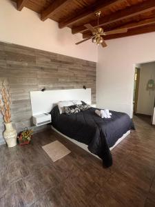 Cassara Retreat