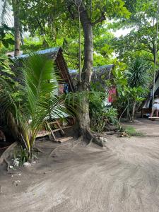 Georgias Neverland Hostel