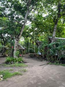 Georgias Neverland Hostel