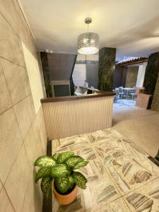 Hotel Pereira Central