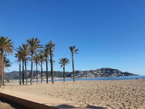 Apartment in Roses by Sta Margarita Beach