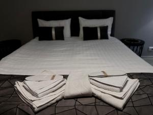 Garsonierele Scandinav