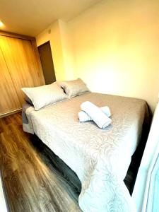 Departamentos Valdivia Santiago Bueras