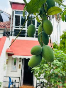 ABASAR We have wonderful villa at Shantiniketan