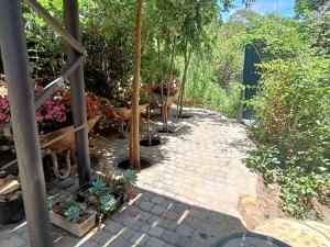 Bush View Studio Groot Brakrivier