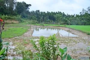 Varsha Gaddemane Homestay - Mudigere