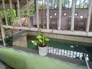 Javalindra Homestay Tour and Travel