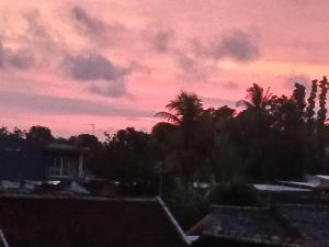 Javalindra Homestay Tour and Travel