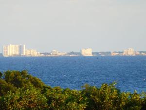 Siesta Fiesta Tree house