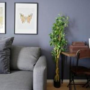 Confidence Ron 804 コンフィデンスロン 804