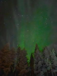 Guest House Vanttaus