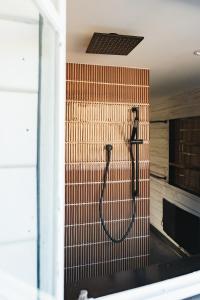 Fern Mt Field on Tyenna River