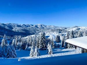 Panorama View-Stoykite