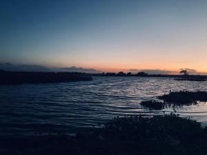 Lake Ibis